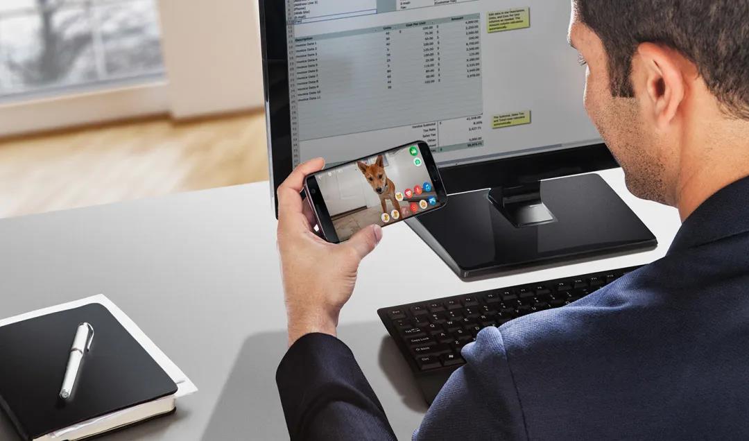 未来5年宠物智能产品,宠物产品logo设计