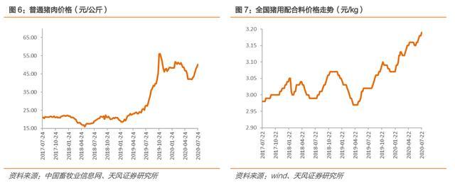 中粮肉食价值分析:性价比最高的猪肉股是他吗