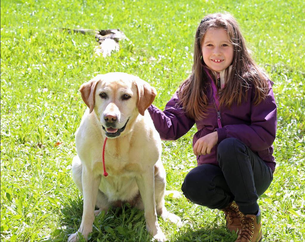 拉布拉多特性介绍,拉布拉多特性