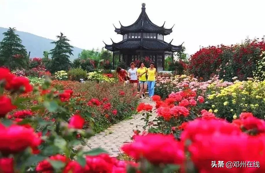 南阳最新重要新闻,河南南阳有什么大事