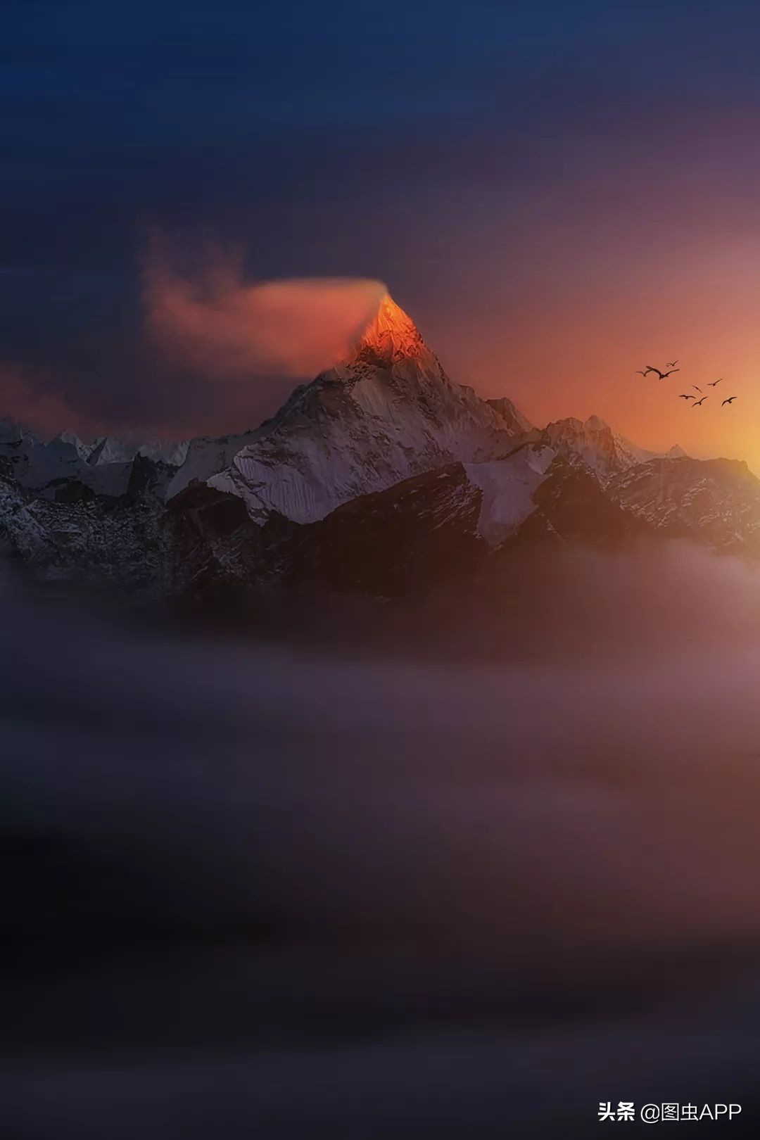 我如何从一个摄影萌新变成现在的「游神」的？