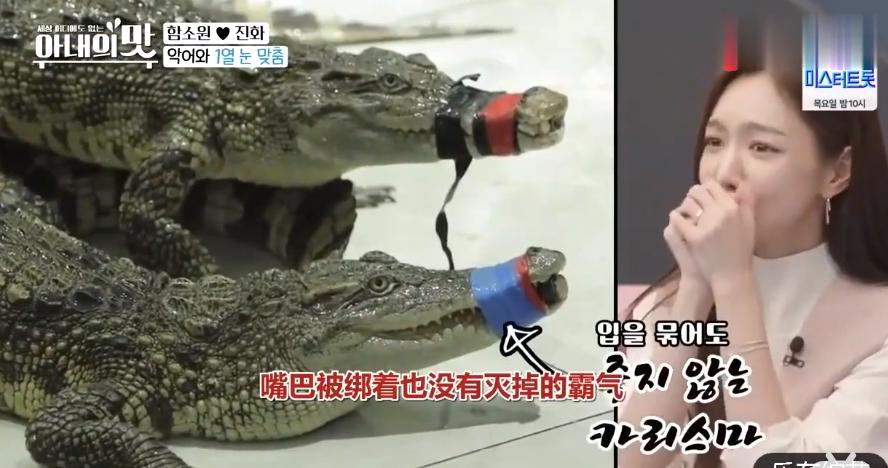 把网友当猴耍的反转案件,咸素媛被认为是富豪