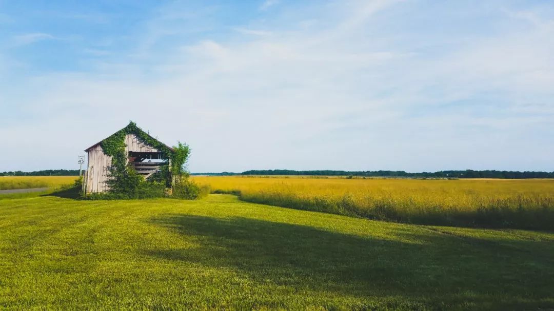 读城解读,读城系列内容