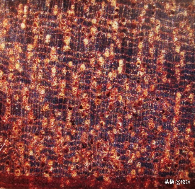 巴西红檀铁线子,耐热耐阴的铁线莲品种