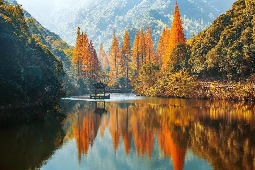 书藏古今港通天下,书藏古今港通天下央视