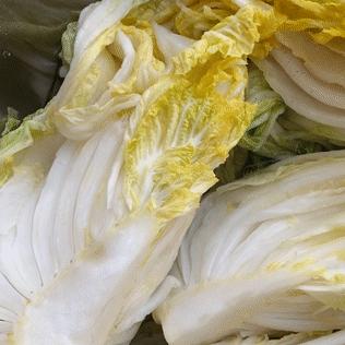 整个朋友圈都在刷《动森》，而我却爱上了在厨房刷锅