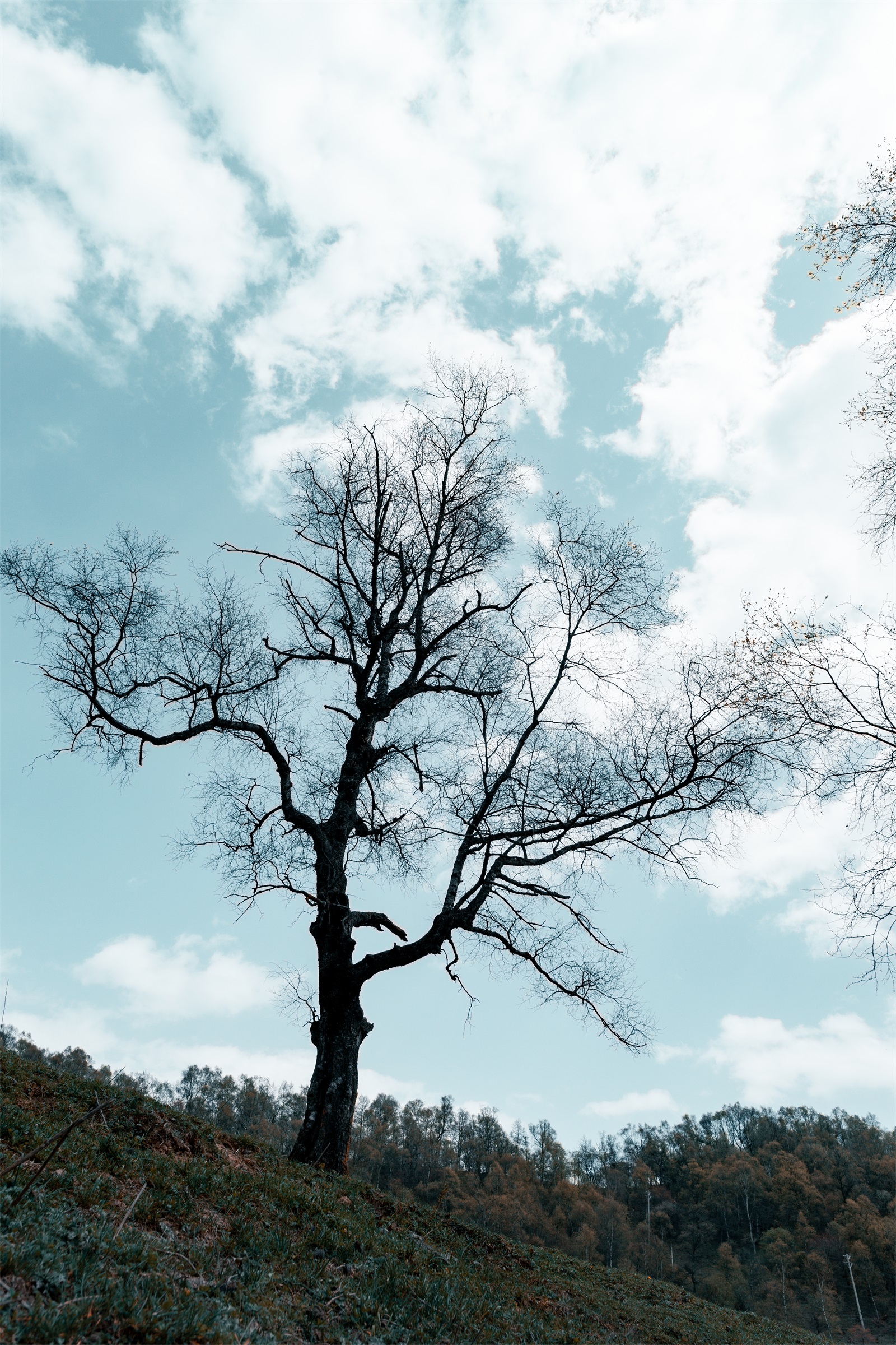 索尼微单a6000优缺点,索尼微单6000用什么sd卡