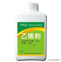 植物生长调节剂催熟,有催熟作用的植物生长调节剂