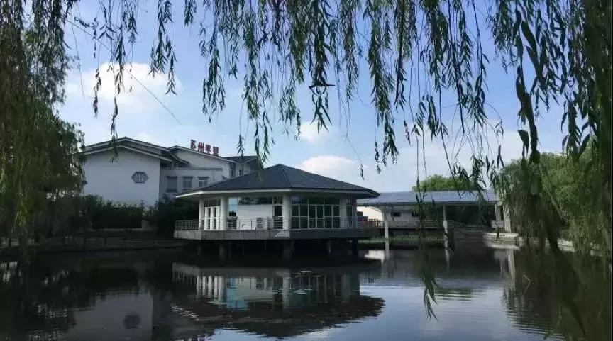 博山高速服务区最新消息,博山高速服务区改造