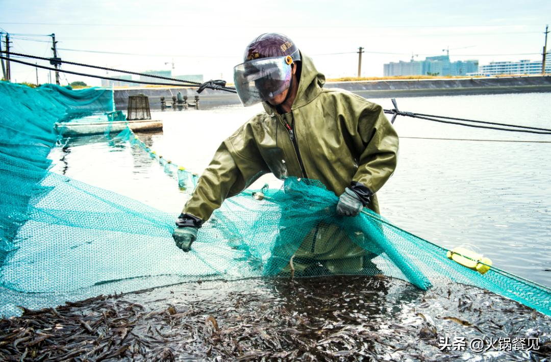 北海正宗海味鲜虾虾滑,广西北海新鲜虾滑