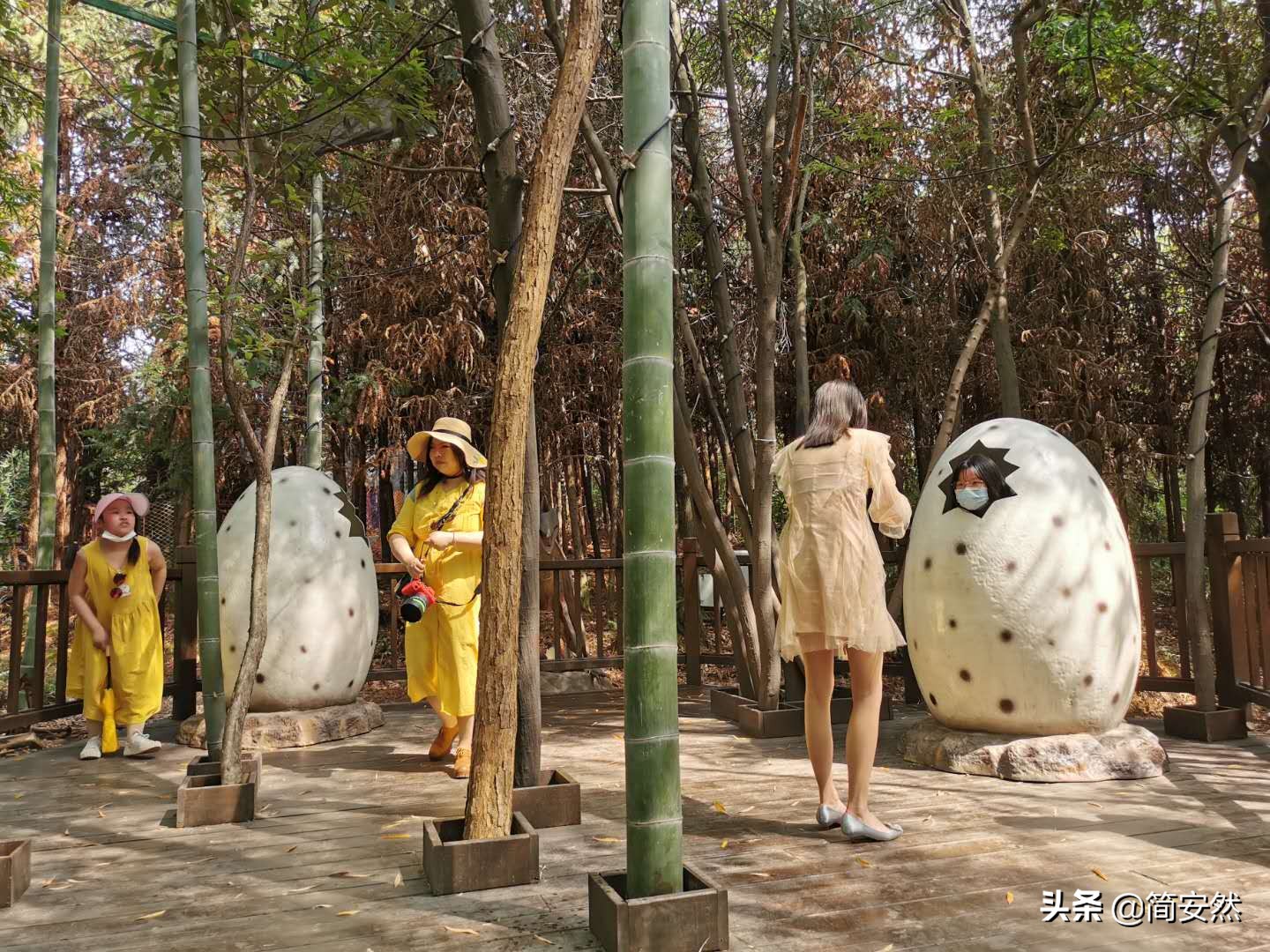 松鼠部落自驾游,松鼠部落一日游