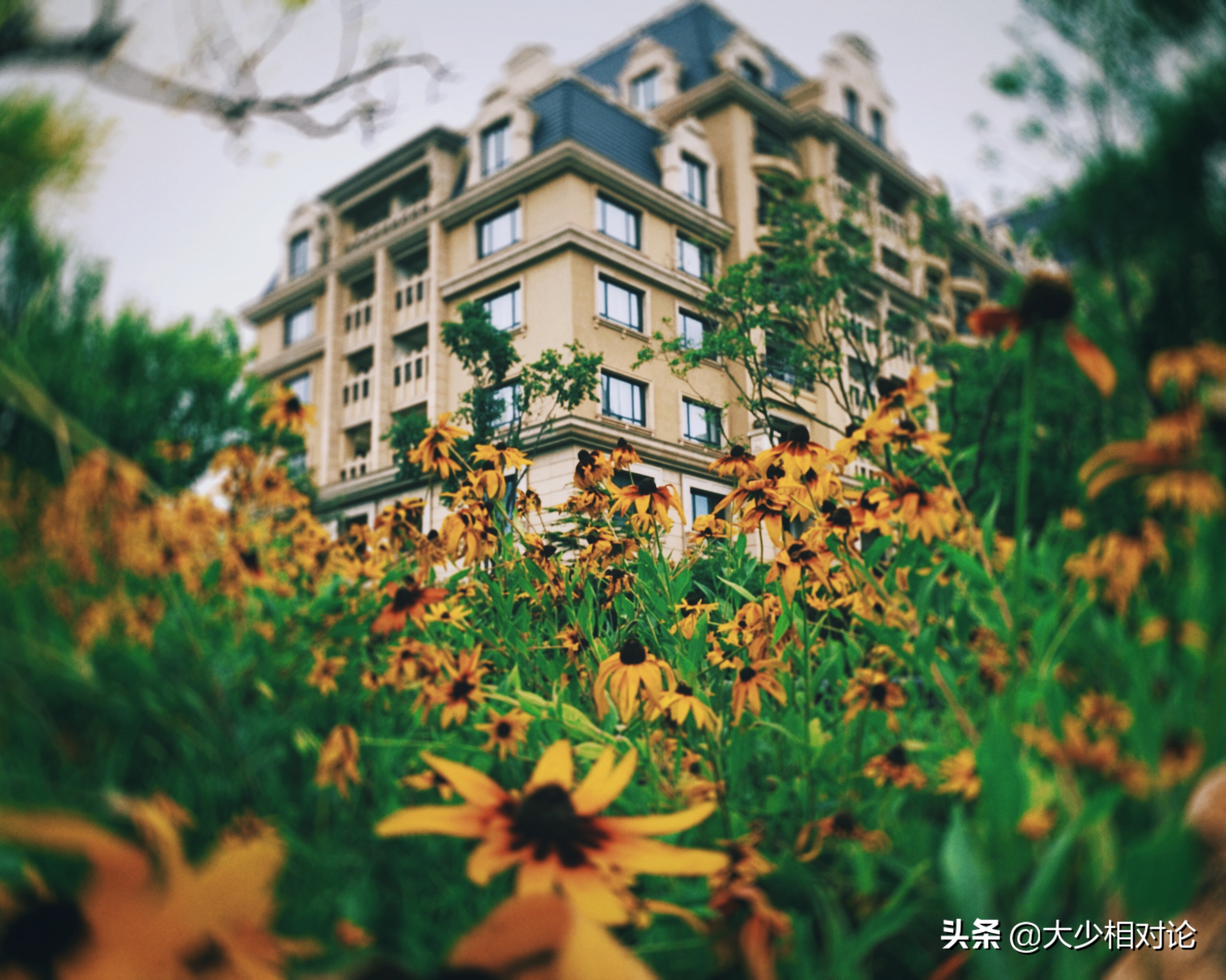 手机拍摄技巧iphone入门,0基础学会iphone拍摄技巧