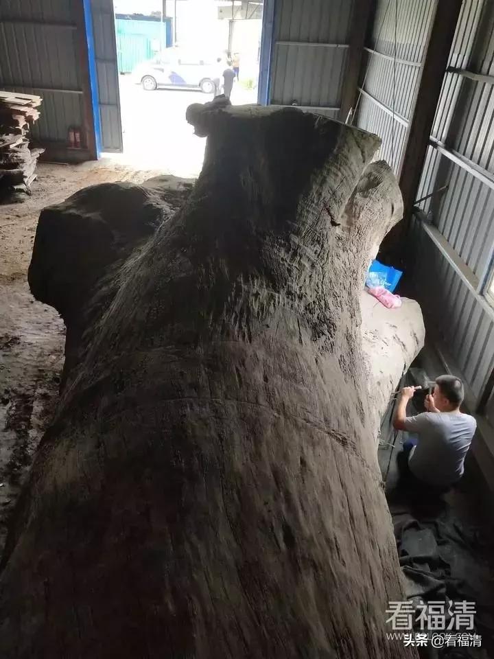 福清老板拥有的一根破烂木头，能值600万？