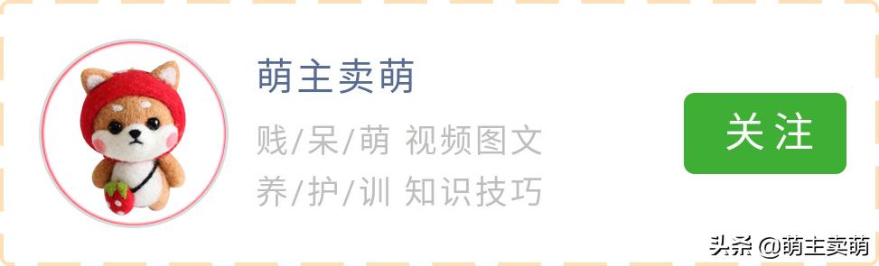 小猫咕咕咕一直叫是什么原因,离开猫妈妈的小猫崽一直叫怎么办