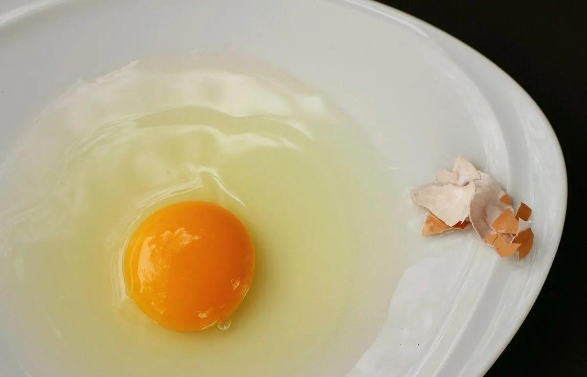 小馄饨馅的做法家常,小馄饨做法大全简单好吃