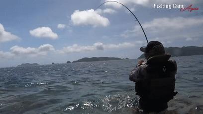 日本发现怪鱼,日本渔民岸边发现什么怪鱼了