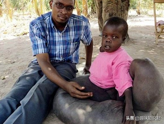 趣味又热门的冷知识大全,新鲜冷知识视频教程