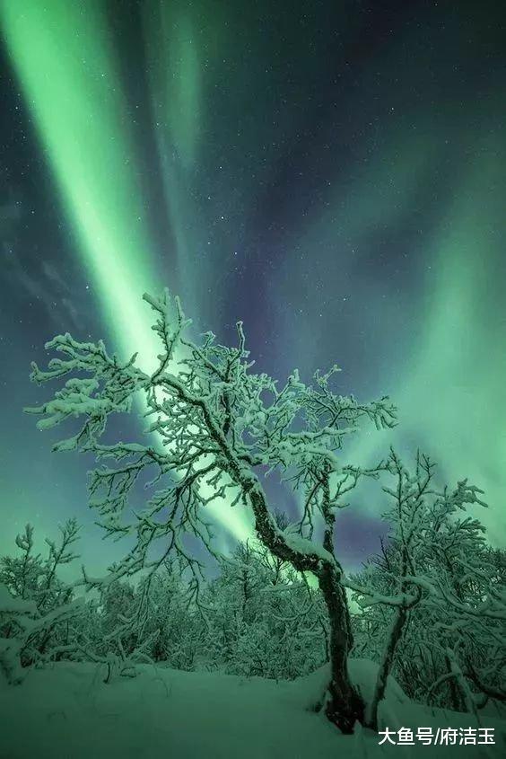 50张世界级照片赶快来看,壮观40张顶级照片