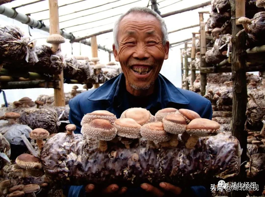 投入5000万！帮湖北“带货”，助武汉归队！武汉重启日，湖北经视携手10省市电视台，全天候全媒接力大联播