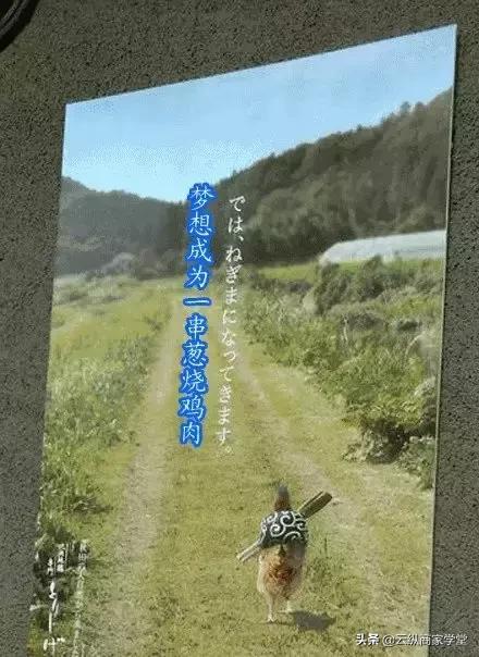 如何发传单才能有最佳效果,传单如何发才不违法