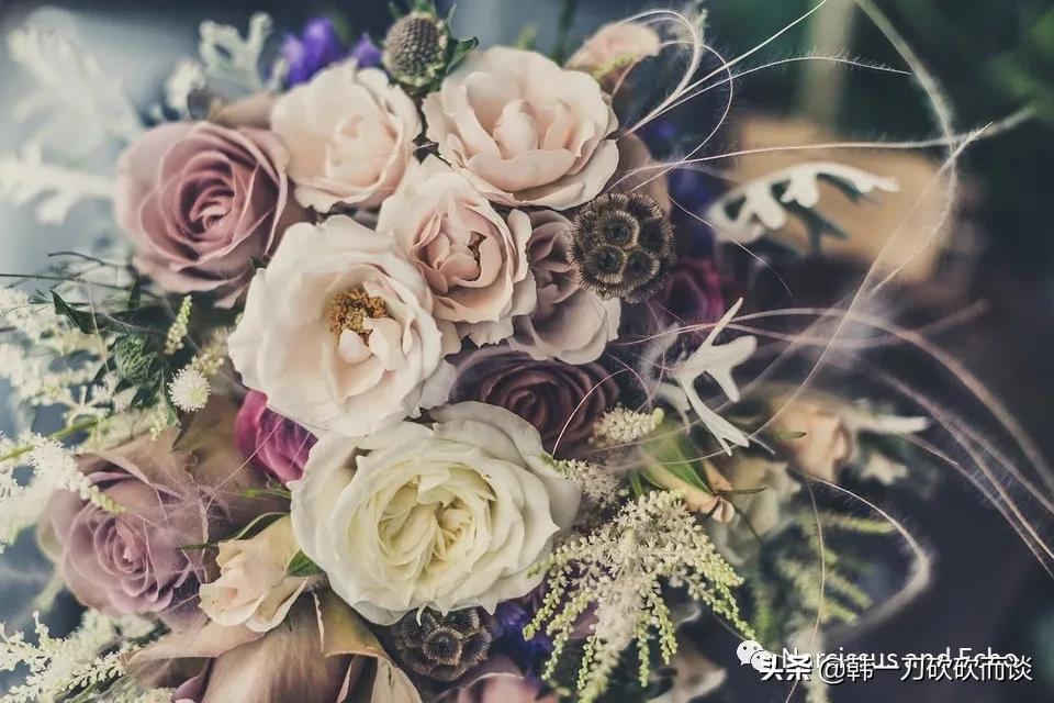 奉子成婚习俗,奉子成婚流程