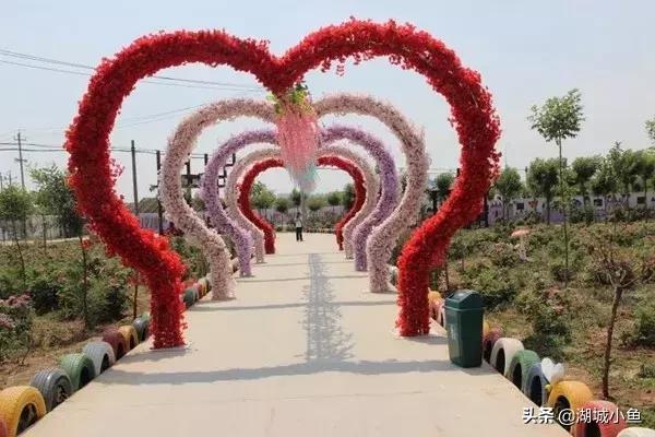 我叫枣强!这是我的最新简历