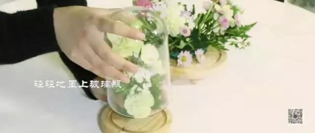 插花花枝怎么修,拯救枯萎蝴蝶兰