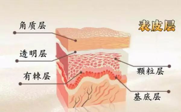 377美白淡斑精华液小安瓶原液,安瓶精华液和原液图片