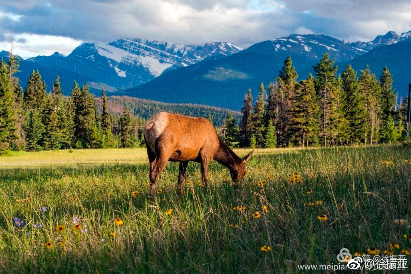 班芙国家公园,班芙国家公园照片