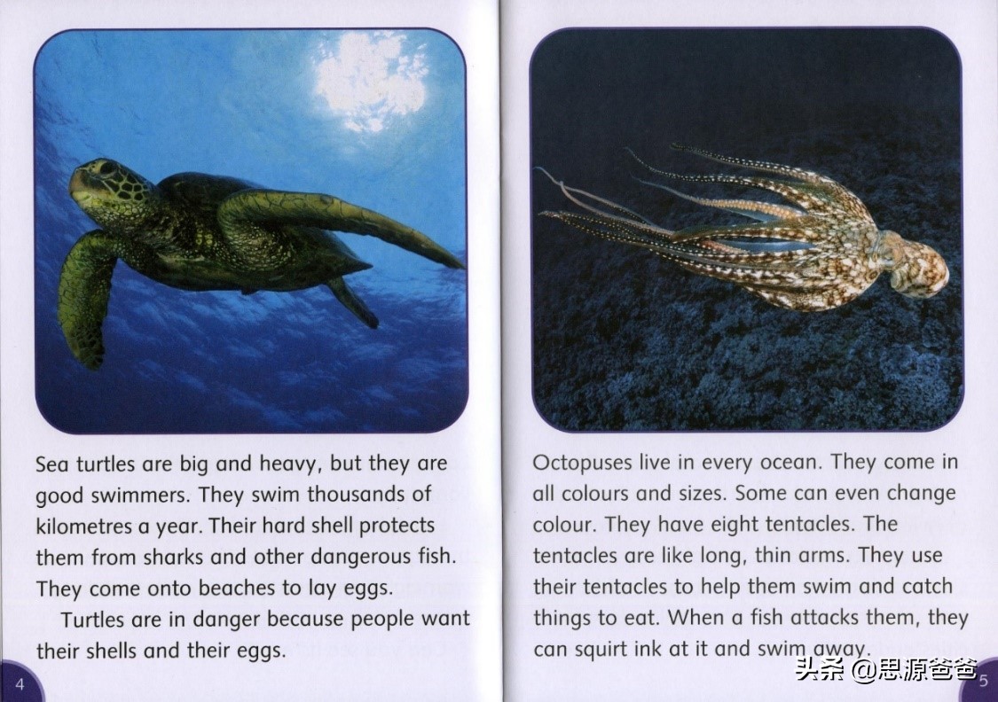 思源爸爸小学生,思源爸爸书单完整版