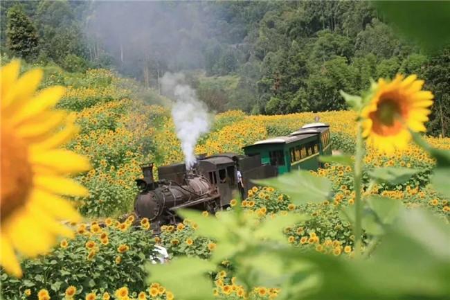 12月份成都周边两日游攻略,成都七日游旅行攻略路线