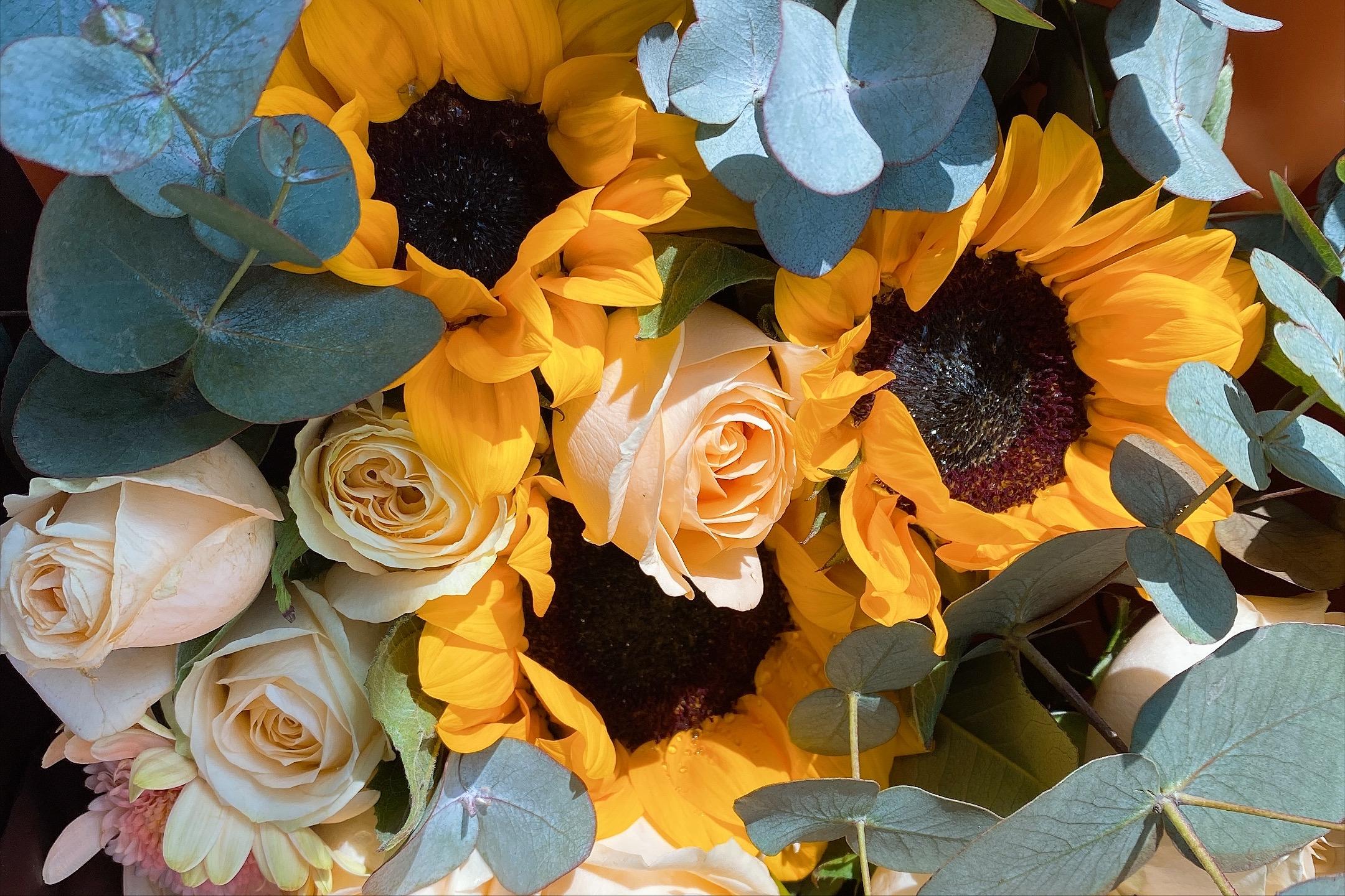 hpv阳性cin3级病变能治疗好吗,hpv感染多久才发展成cin3级病变