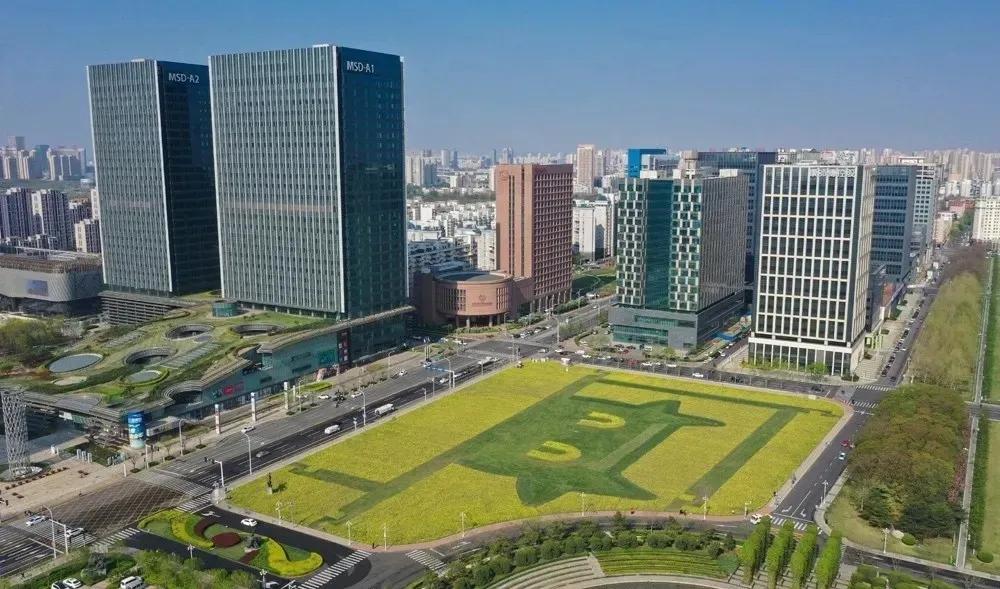 滨海生态城花海,塘沽区滨海花海