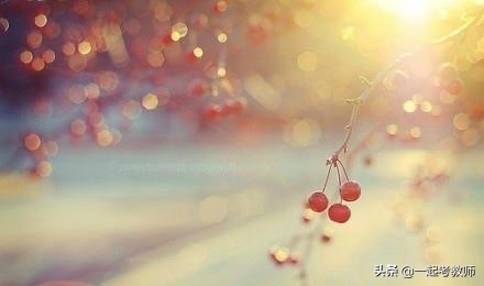 写给青年教师离世的话,年轻有为的老师去世了怎么致敬