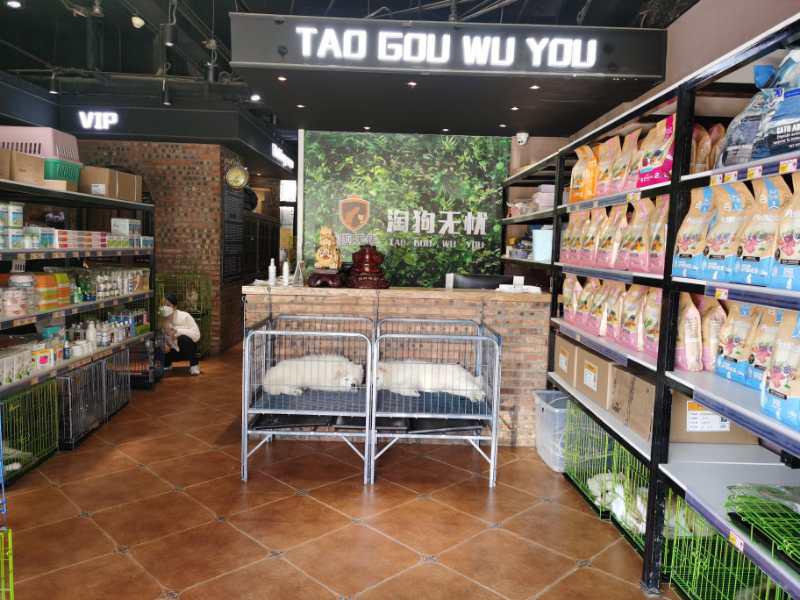 北京宠物店月流水,北京开宠物猫店渠道有哪些