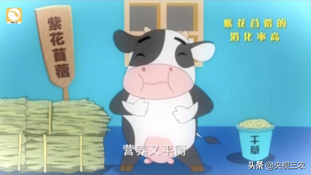 奶牛不孕症最佳治疗方法,奶牛受胎率低什么原因