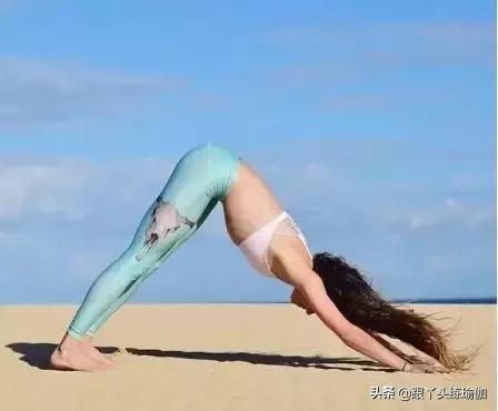 每天做下犬式的好处,下犬式的好处