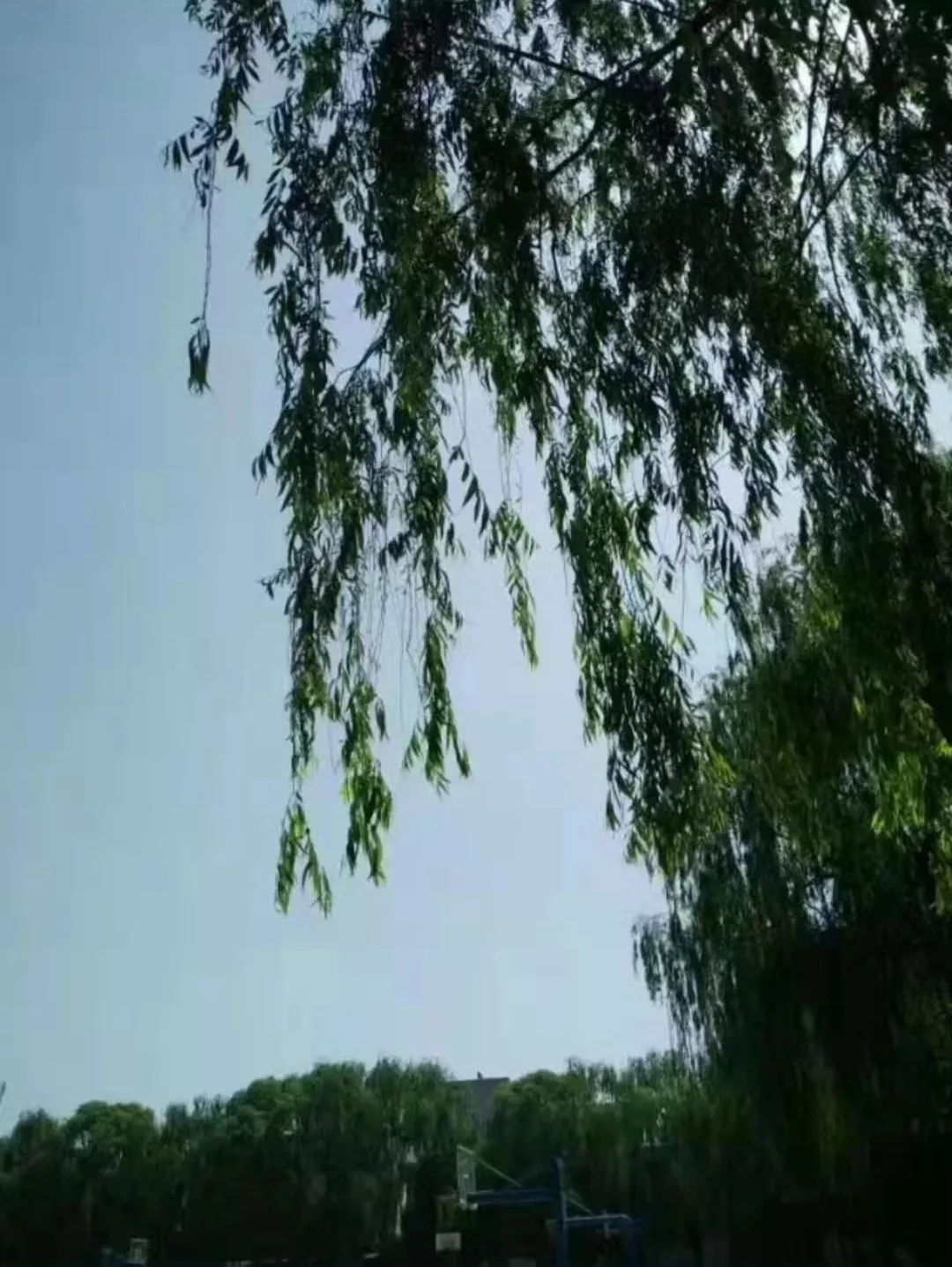 「魅力祁县」祁县旧职中，大家最后的记忆，即将成为历史