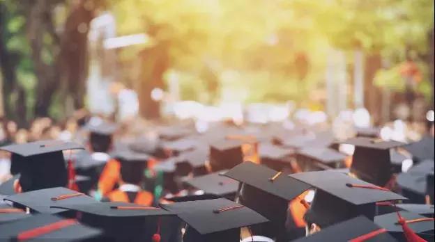 “论文查重”一次500元，毕业生难逃收割