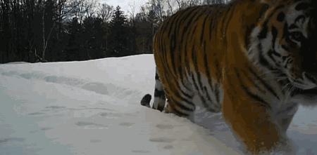 这6部电影足以秒杀大部分电影,十部必看旅行纪录片人文纪录片