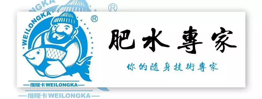 南美白对虾白斑病是怎么得出来的,南美白对虾出现白斑怎么治