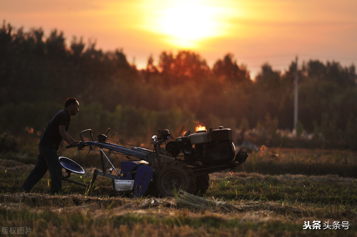 沈阳金牛手扶拖拉机,金牛手扶拖拉机