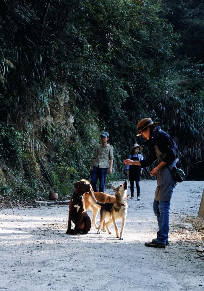 10年前，那个花83元穷游*藏西**的姑娘，后来怎么样了？
