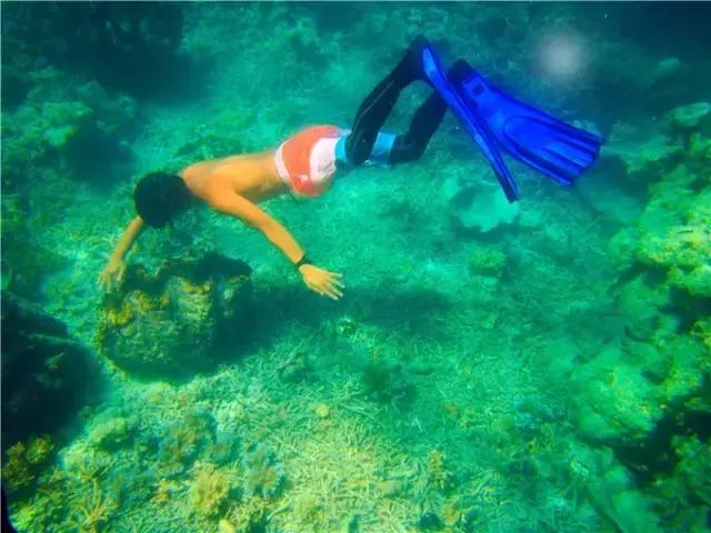 对帕劳之行的感悟,帕劳一场诗和远方的旅行