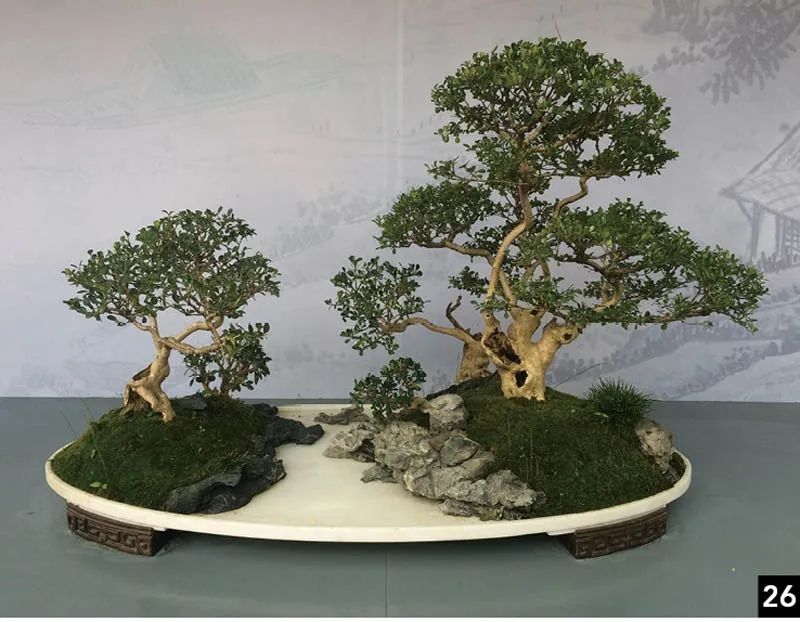 盆景修行,学习盆景技术最好的书