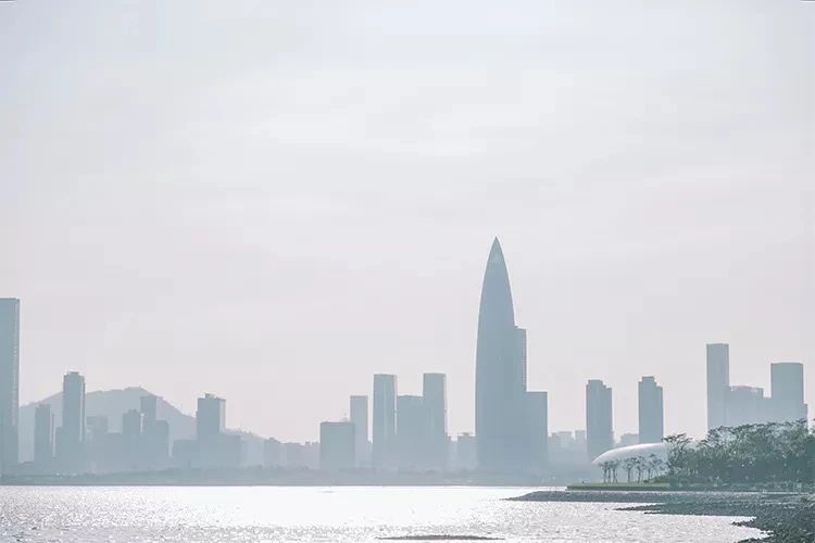 2021深圳免费适合遛娃玩地方排名,深圳免费游玩景点推荐