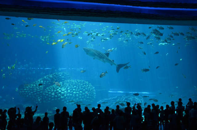 珠海长隆海洋王国游玩简介攻略,长隆海洋王国玩1天