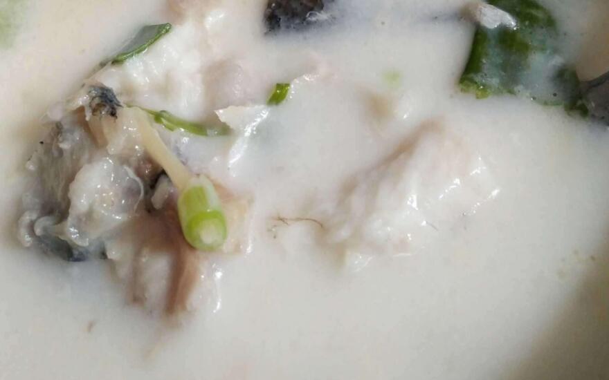 熬鱼汤一定要开水吗,鱼汤熬不白可以加牛奶吗