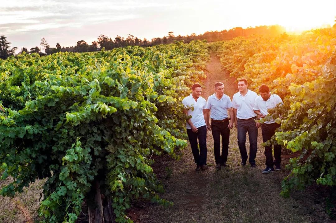 澳大利亚葡萄酒制造商,澳大利亚最好的葡萄酒生产商
