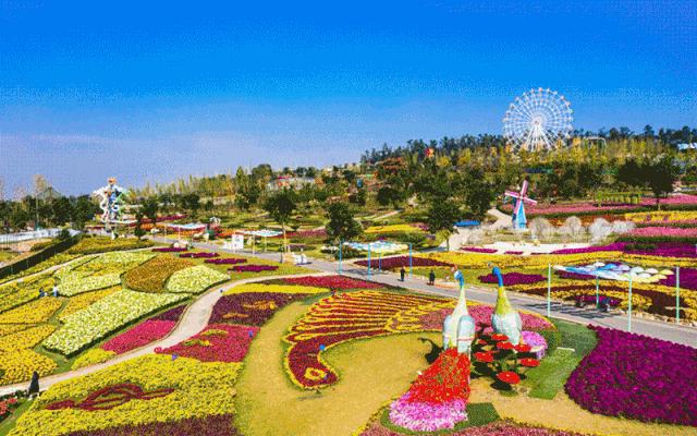 成都春游好去处周末 (成都周边周末春游推荐)